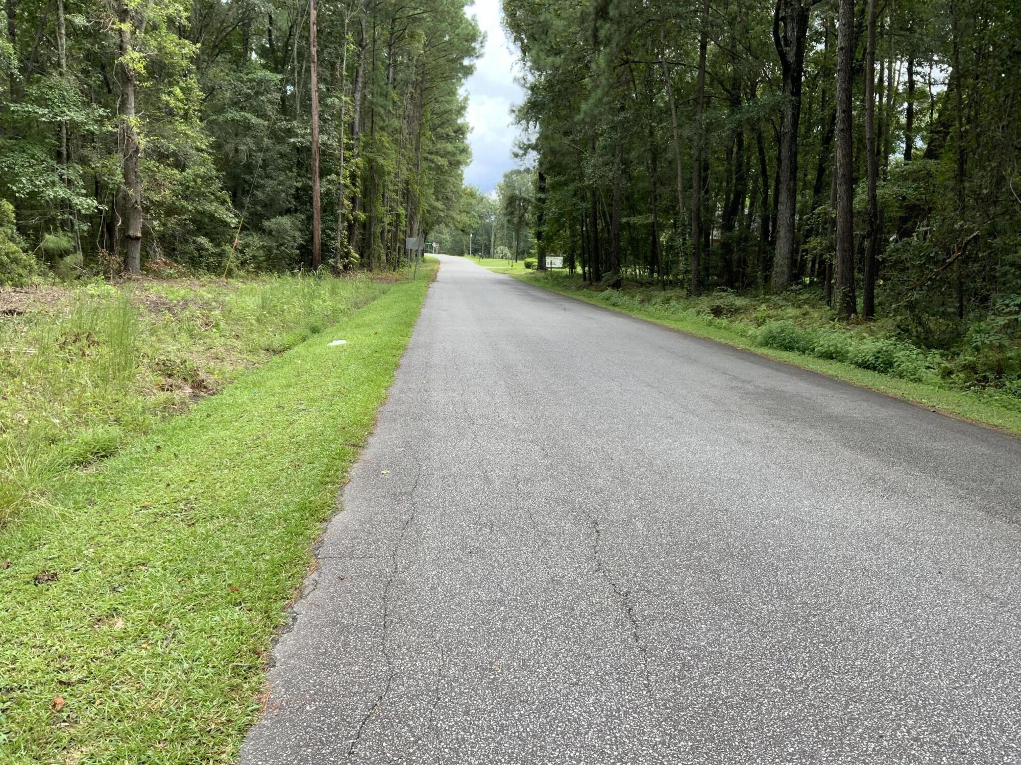 8735 Old Jacksonboro Road Adams Run, SC 29426 - Photo 2 of 5 jr3