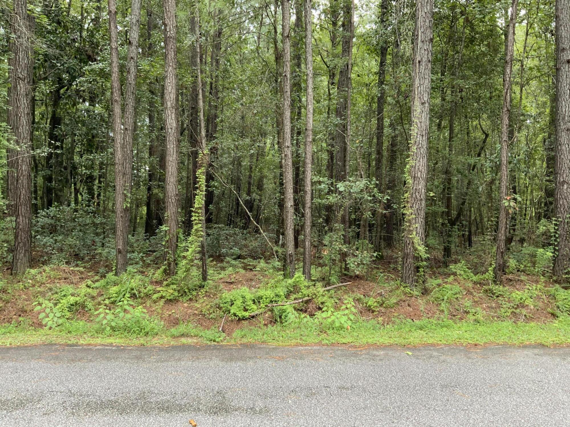 8735 Old Jacksonboro Road Adams Run, SC 29426 - Photo 3 of 5 jr2