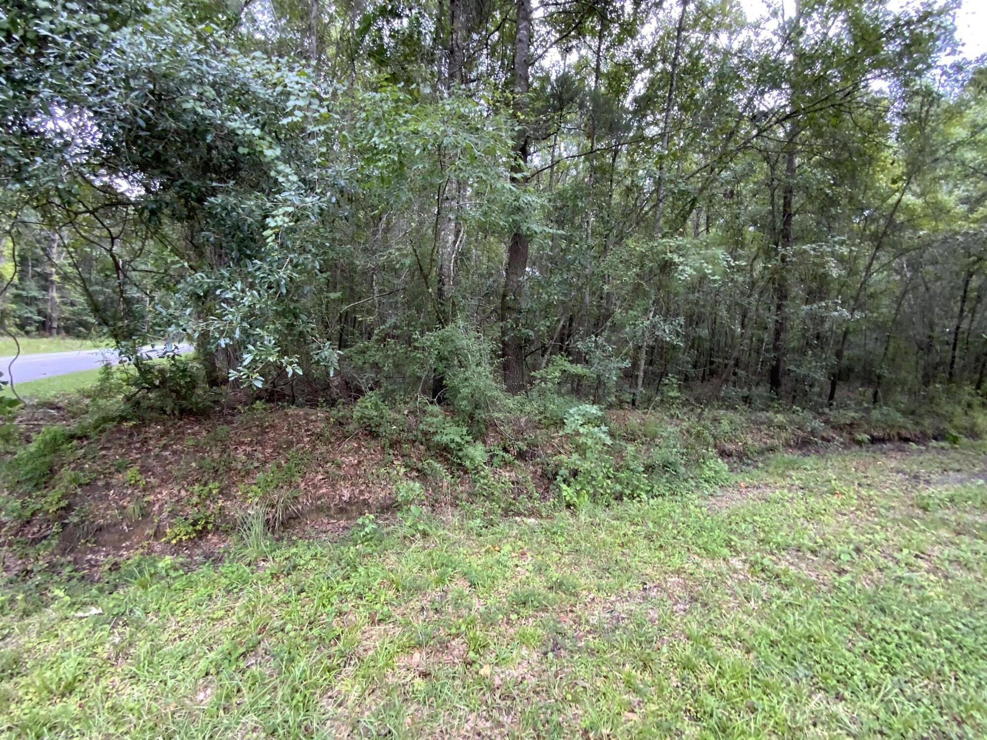 8735 Old Jacksonboro Road Adams Run, SC 29426 - Photo 5 of 5 jr5