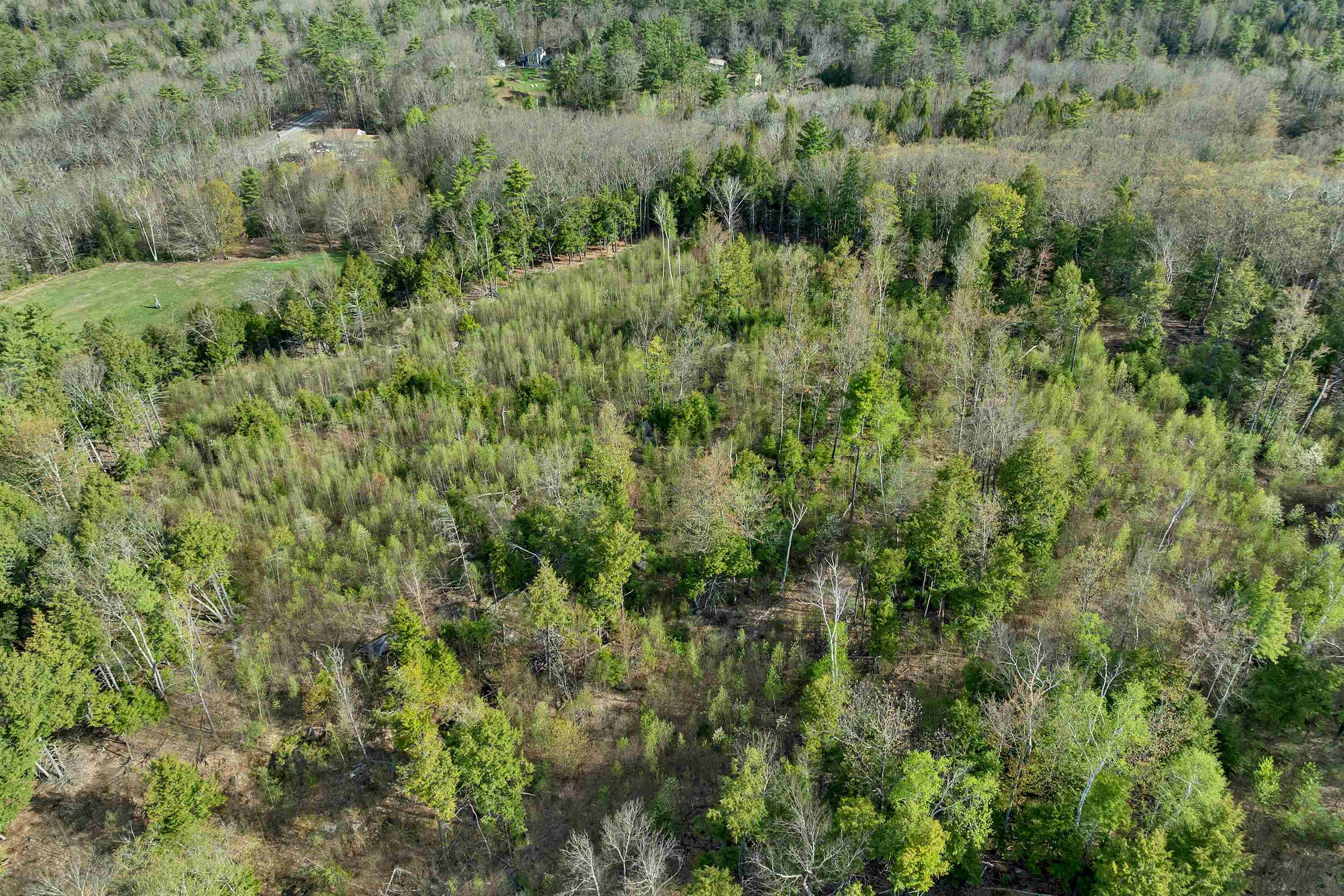 Lot 26 Province Road Belmont, NH 03220 - Photo 19 of 38 Gallery Image 19