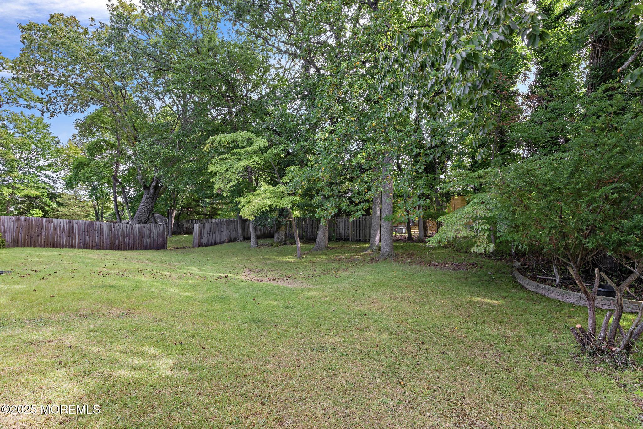 113 Parker Road West Long Branch, NJ 07764 - Photo 54 of 62 a backyard of a house with lots of plants and tree