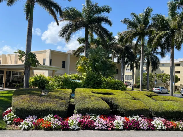 a view of a garden with flowers and palm trees