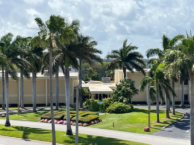a view of a park with palm trees