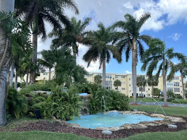 a view of a park with palm trees