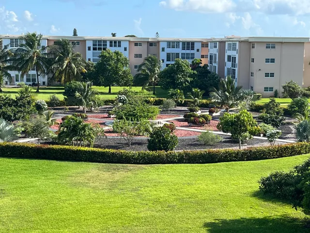 a view of a swimming pool with a yard and plants