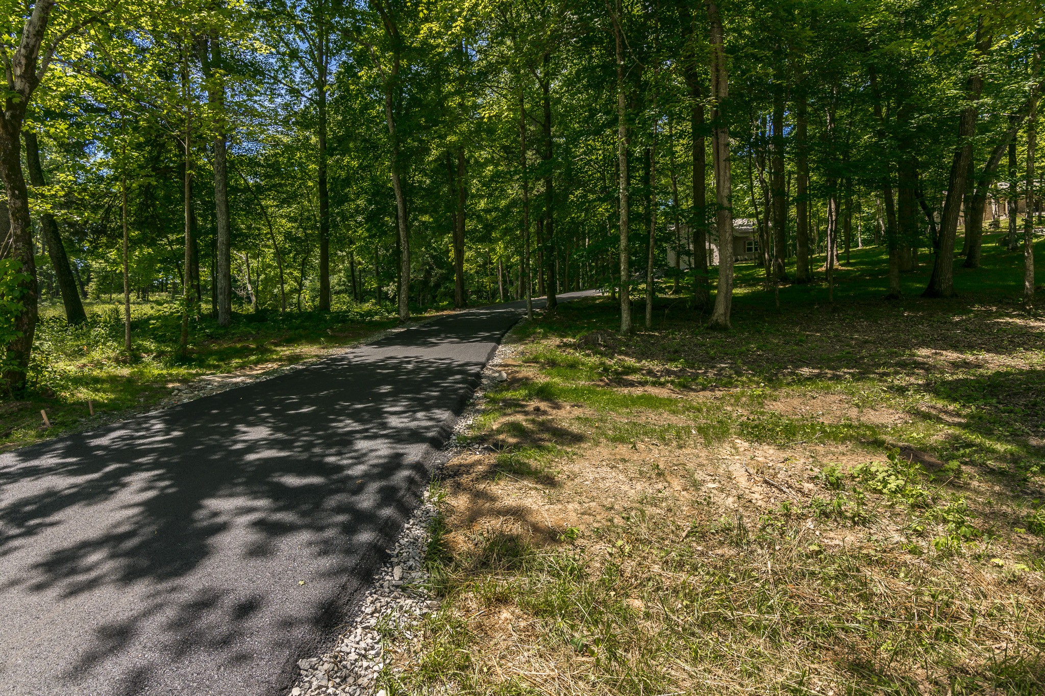 1566 Old Gallatin Road Portland, TN 37148 - Photo 2 of 49 a backyard of a house with lots of green space