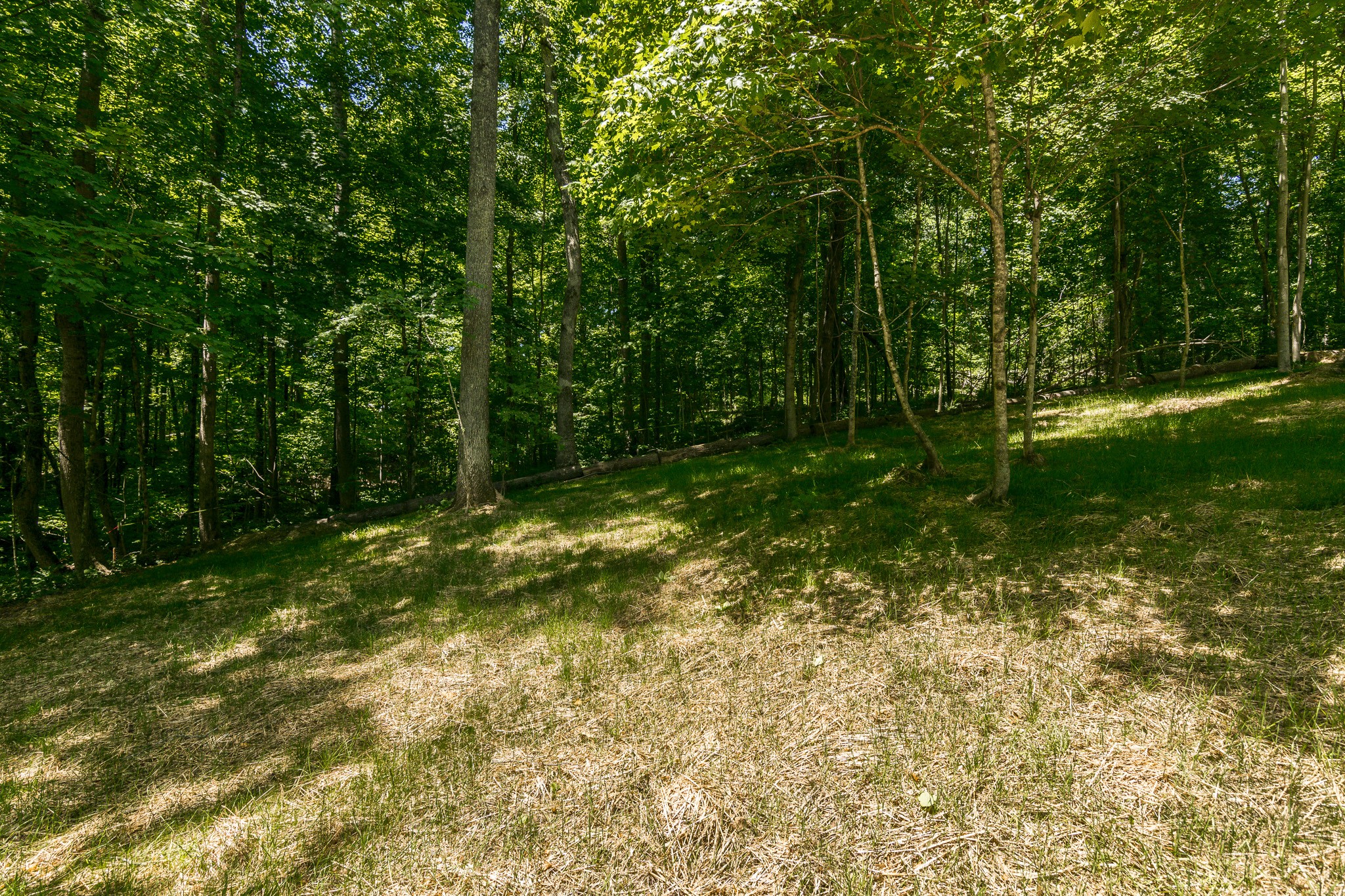 1566 Old Gallatin Road Portland, TN 37148 - Photo 47 of 49 a view of outdoor space and yard