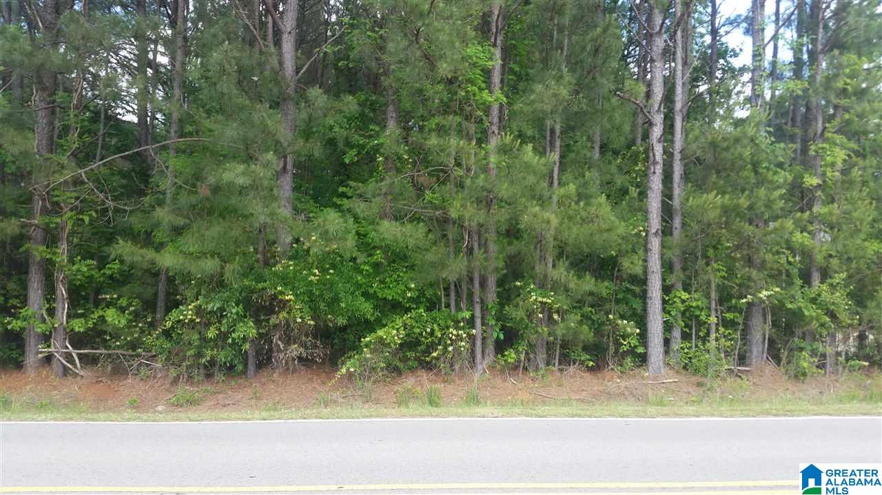 3527 McIntosh Road, Unit 12 Oxford, AL 36203 - Photo 10 of 16