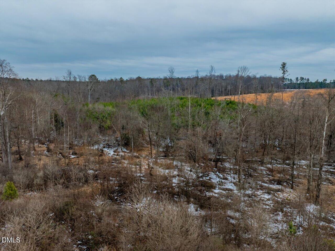 558 Jones Ferry Road Pittsboro, NC 27312 - Photo 12 of 19 a view of a city with lots of trees