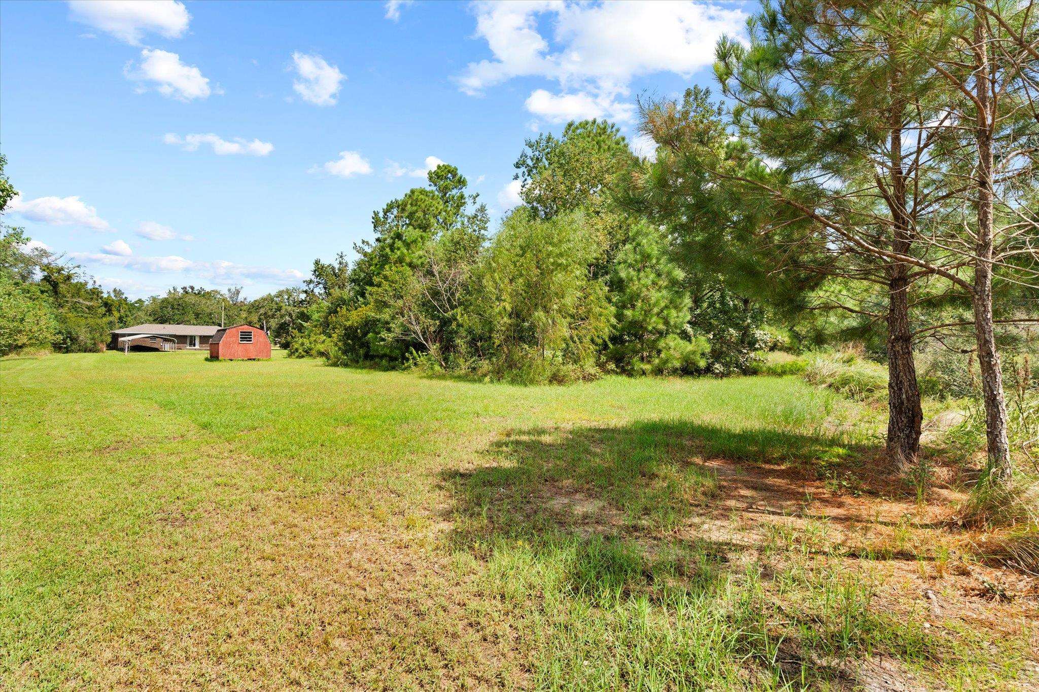 16808 Witt Road Bon Secour, AL 36511 - Photo 10 of 31 Yard