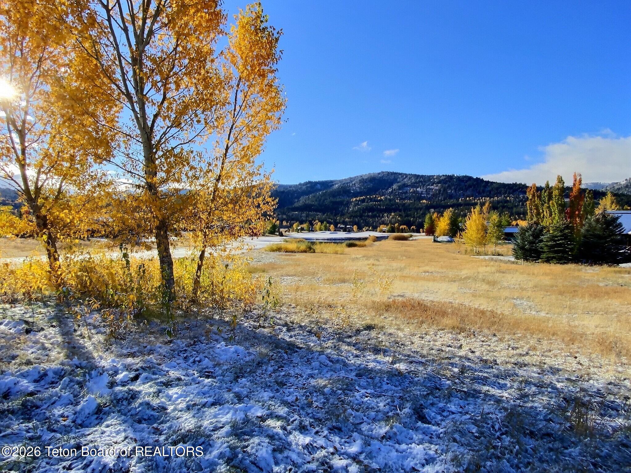 27 Springs Parkway Victor, ID 83455 - Photo 14 of 20 Targhee National Forest View