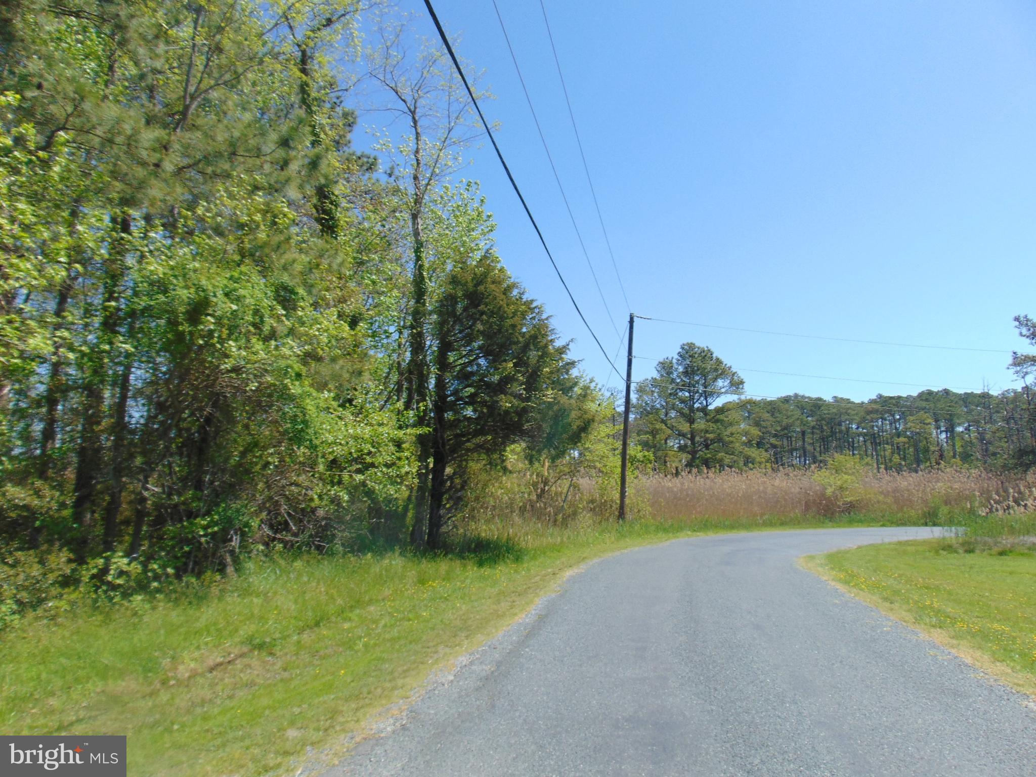 0 Hodson White Road Deal Island, MD 21821 - Photo 1 of 10 Lot fronting Hodson White Rd