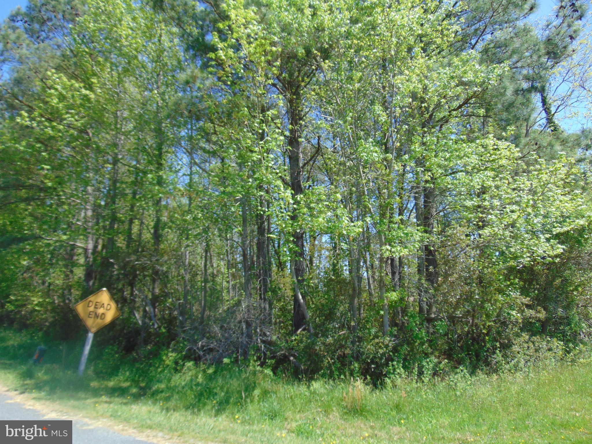 0 Hodson White Road Deal Island, MD 21821 - Photo 4 of 10 Corner Hodson White and McInturff Rd
