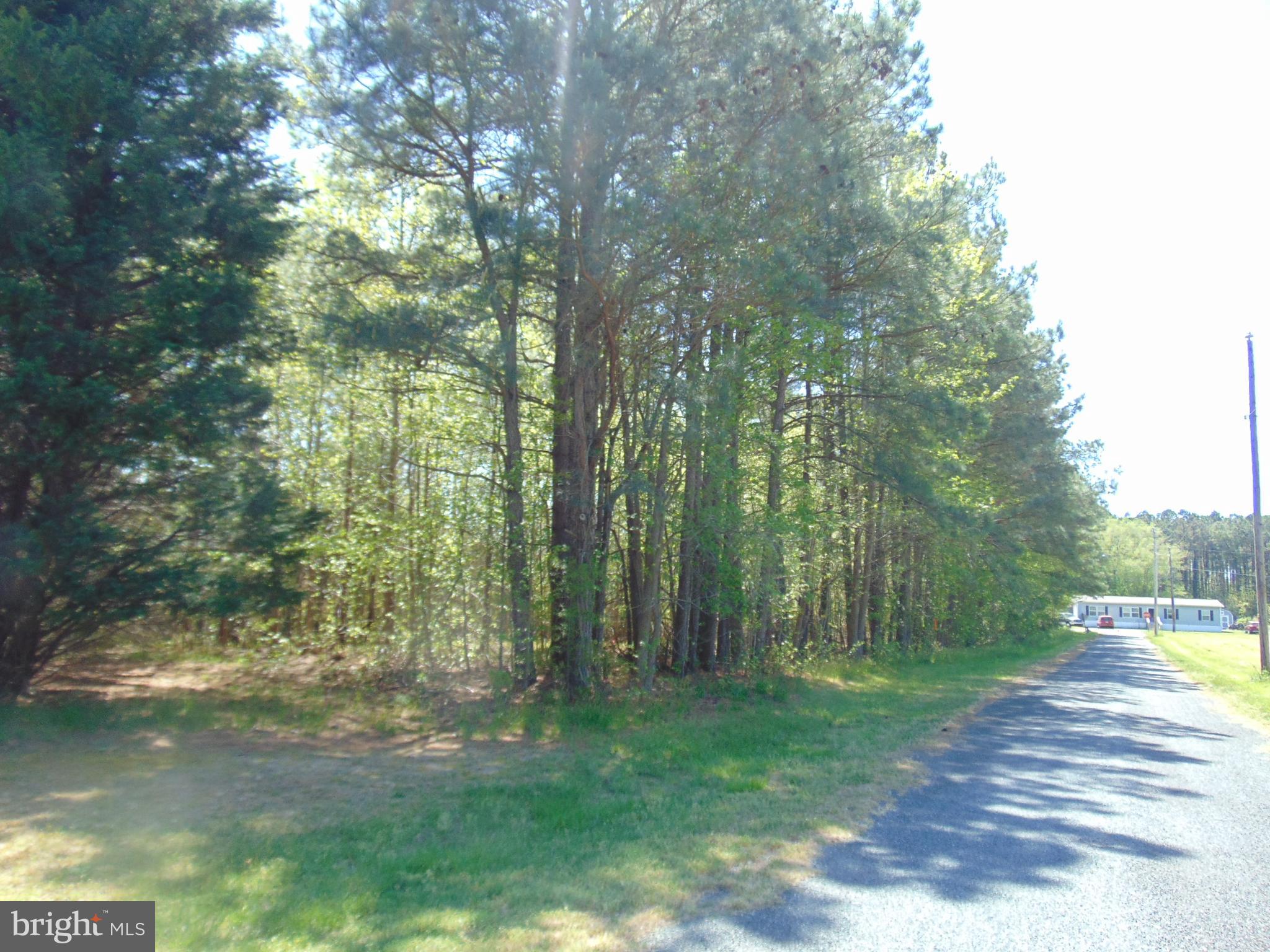 0 Hodson White Road Deal Island, MD 21821 - Photo 5 of 10 Lot following McInturff Rd