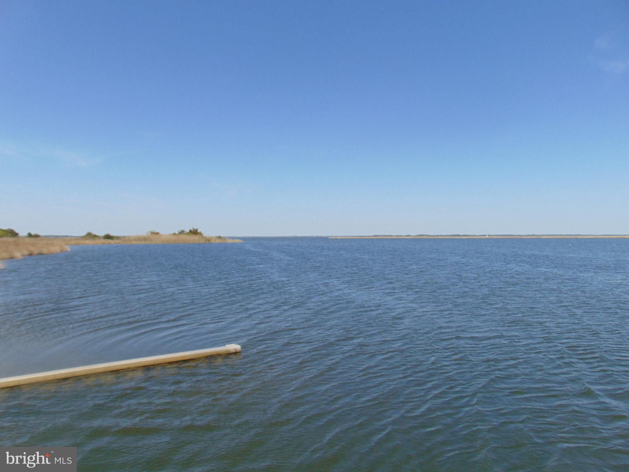 0 Hodson White Road Deal Island, MD 21821 - Photo 8 of 10 Gallery Image 8