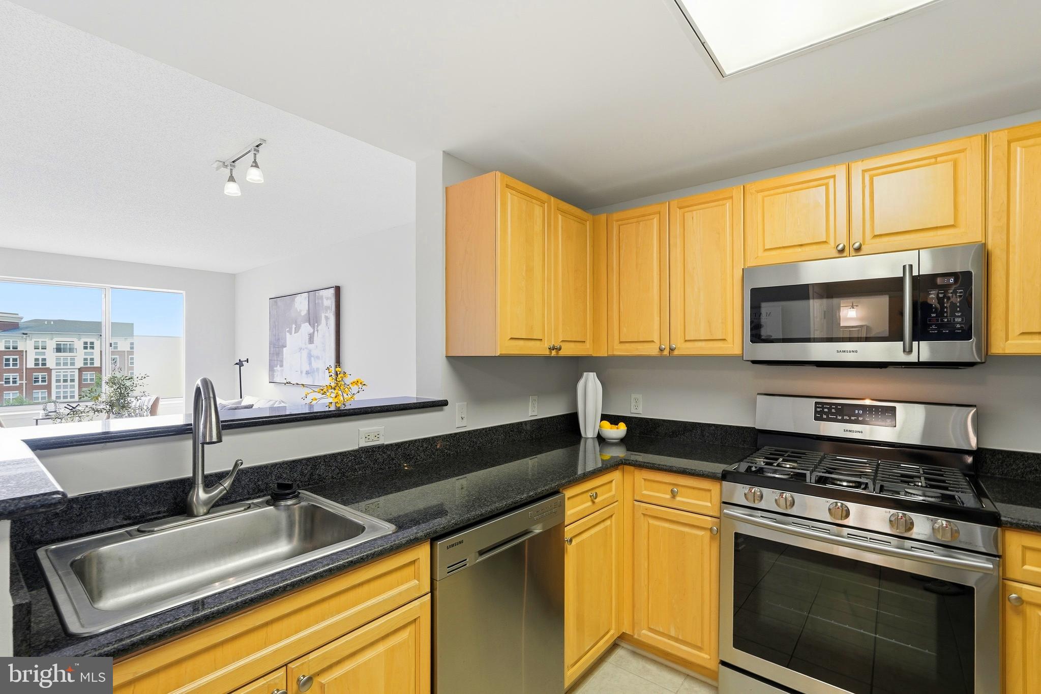 2726 Gallows Road, Unit 806 Vienna, VA 22180 - Photo 5 of 18