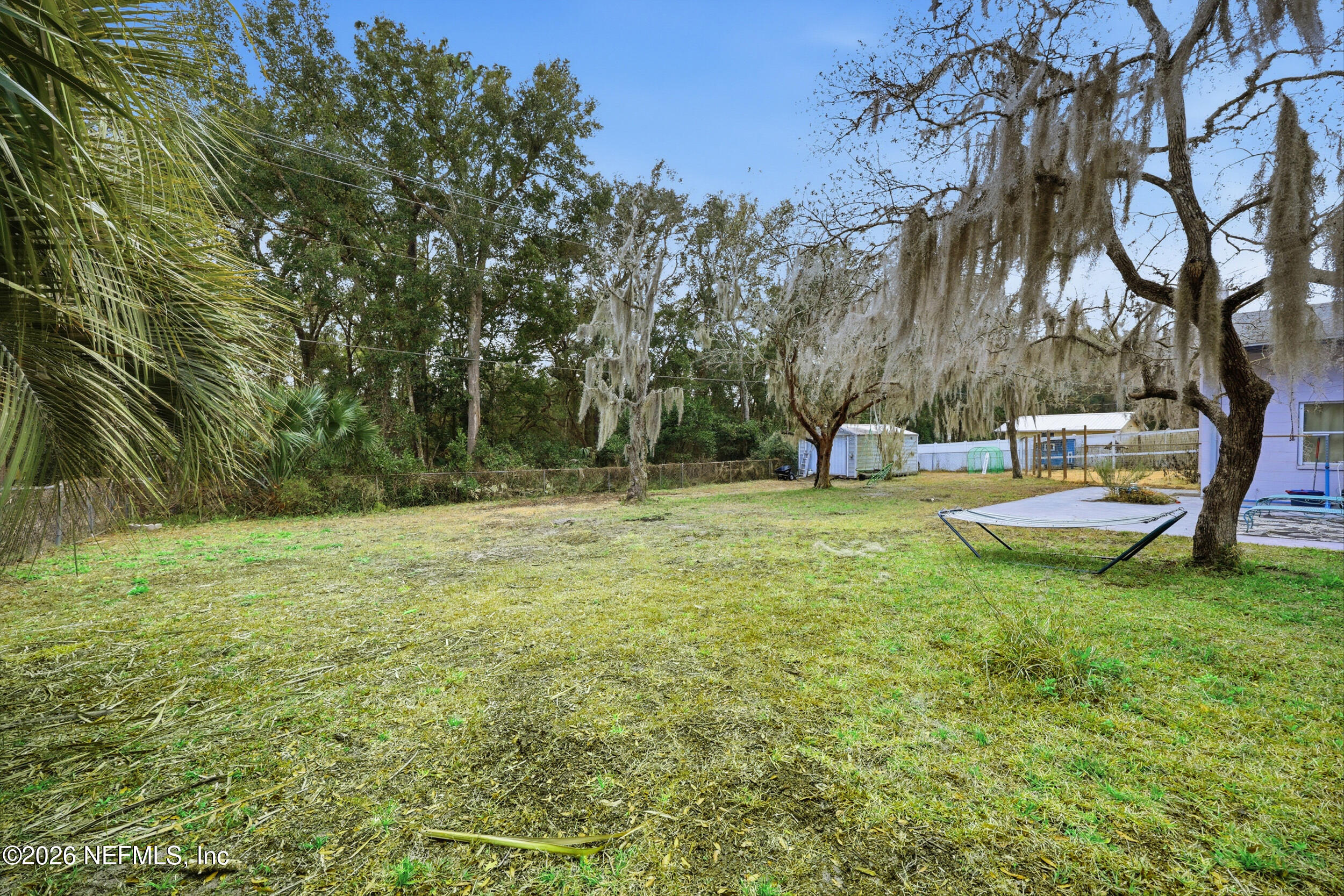 101 Cedar Street Palatka, FL 32177 - Photo 31 of 43 a view of a park with large trees