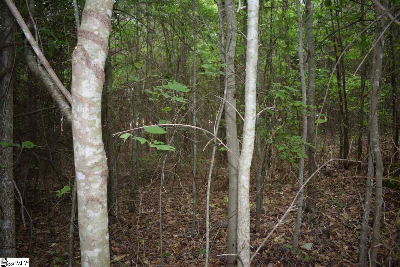 105 State Rd S-42-779, Unit 8A Inman, SC 29349 - Photo 8 of 8