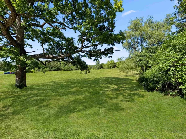 a view of a trees with a big yard