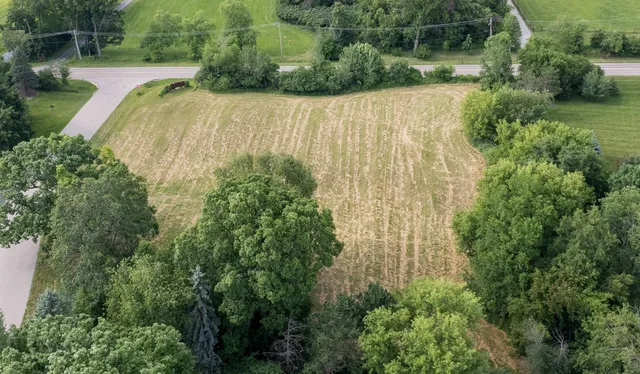 a view of a garden from a balcony
