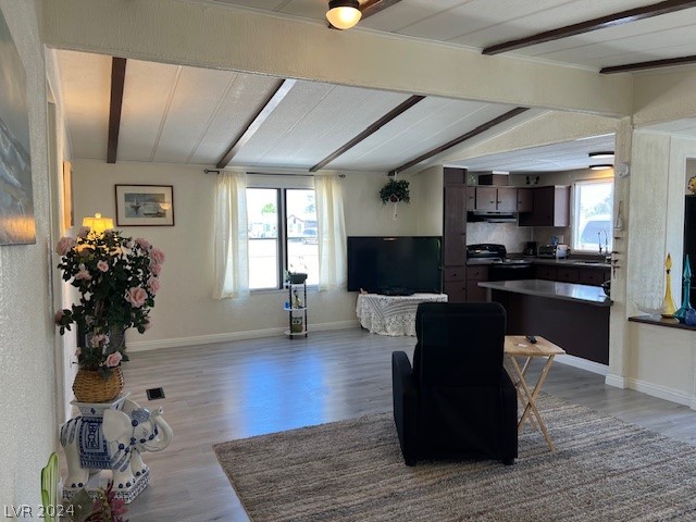 110 Russell Road Pahrump, NV 89048 - Photo 5 of 24 Gallery Image 5