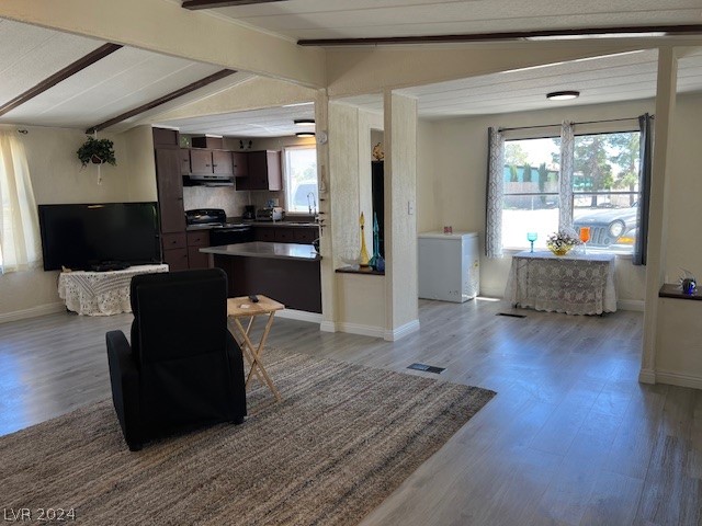 110 Russell Road Pahrump, NV 89048 - Photo 6 of 24 Gallery Image 6