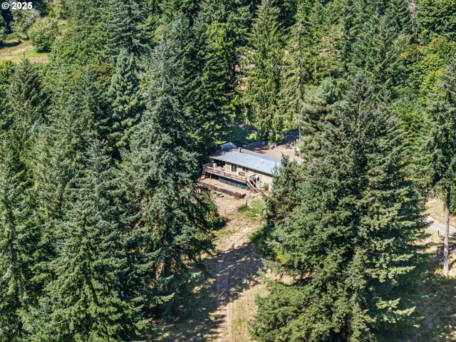 a view of a house with a tree
