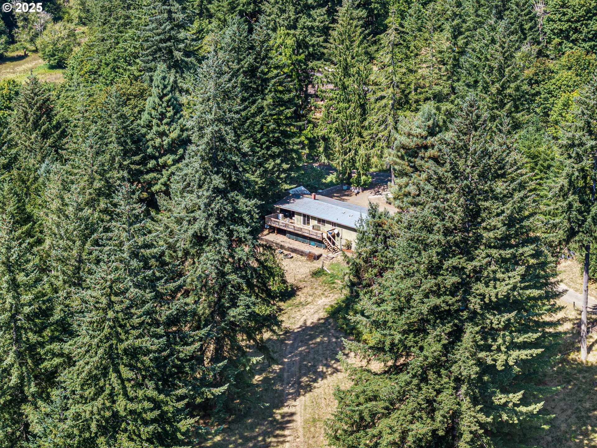 89731 Indian Creek Road Swisshome, OR 97480 - Photo 3 of 46 a view of a house with a tree