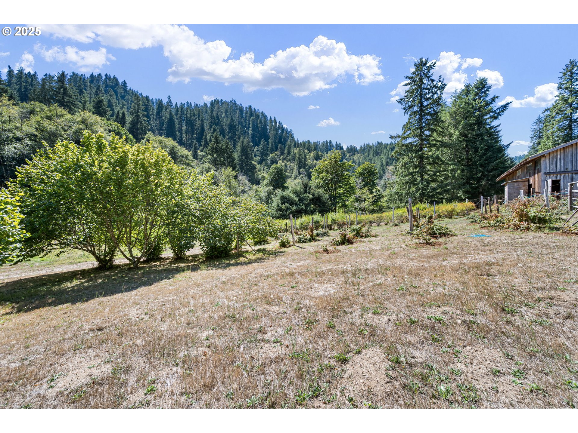 89731 Indian Creek Road Swisshome, OR 97480 - Photo 40 of 46 a view of a yard with mountain