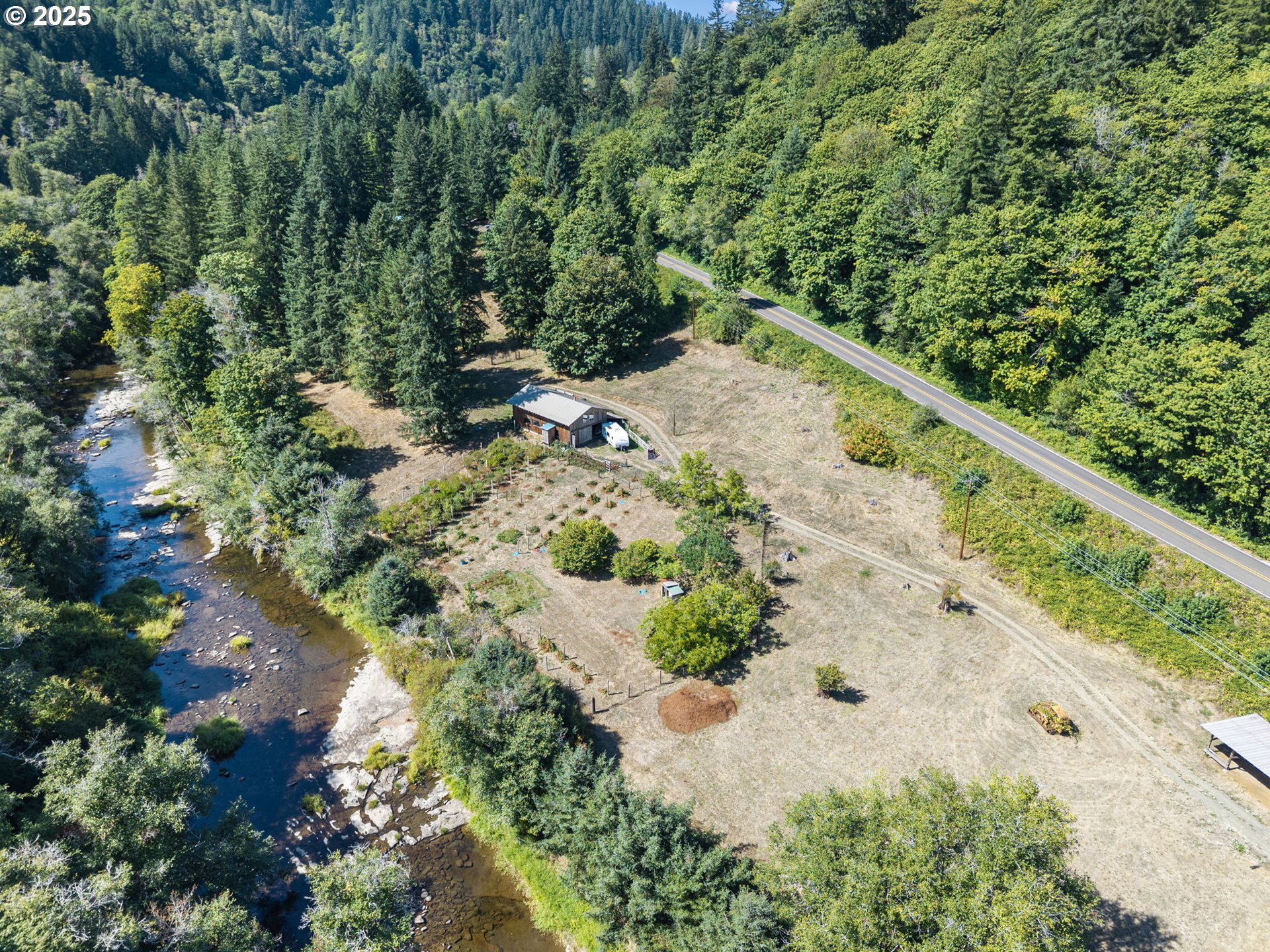 89731 Indian Creek Road Swisshome, OR 97480 - Photo 46 of 46 a view of a forest with a tree