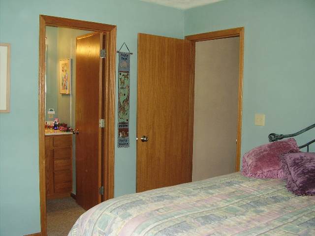 4252 East Lamm Road Freeport, IL 61032 - Photo 6 of 7 a bedroom with a bed and a mirror
