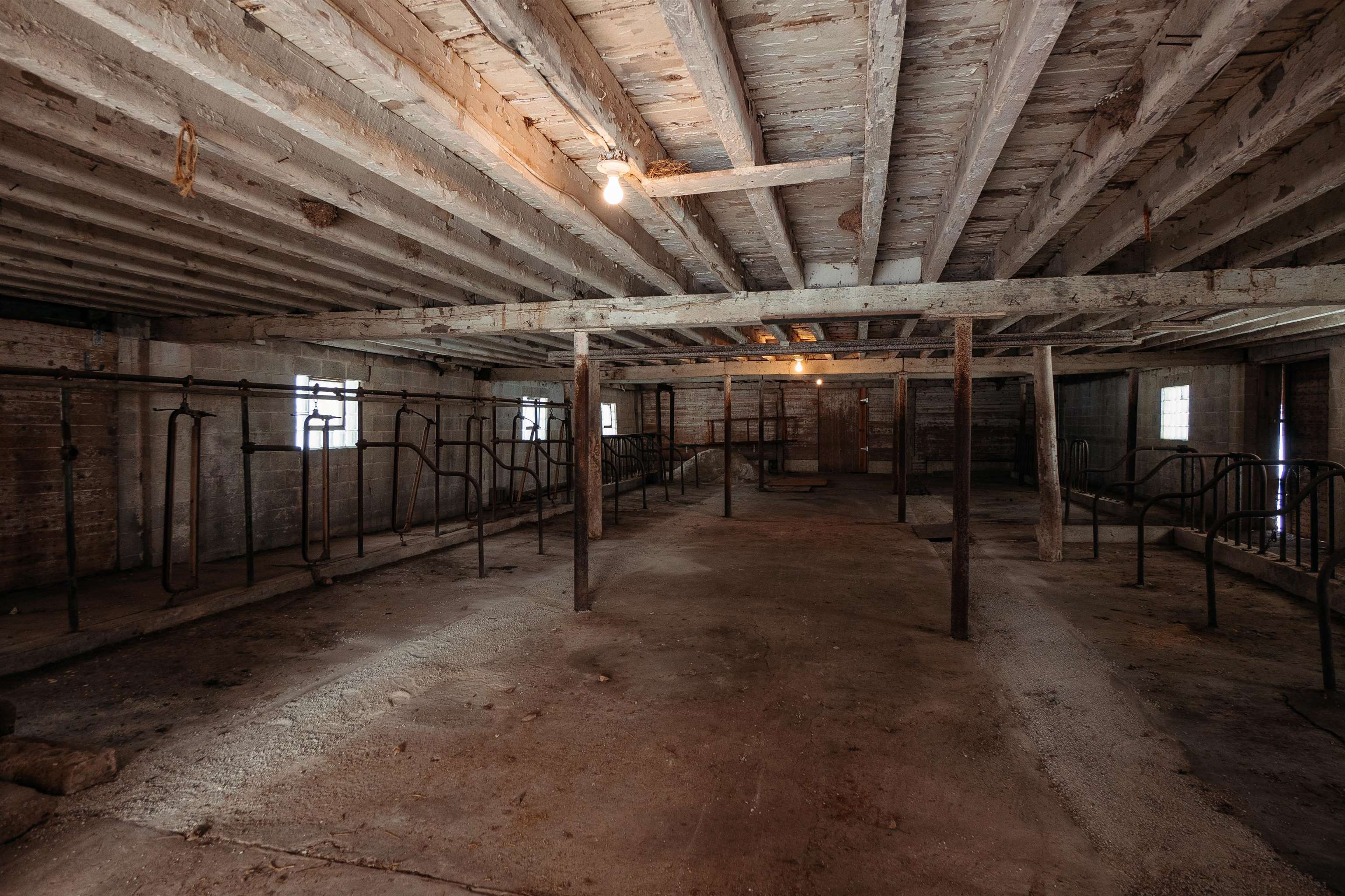 N9101 Hass Road Van Dyne, WI 54979 - Photo 27 of 30