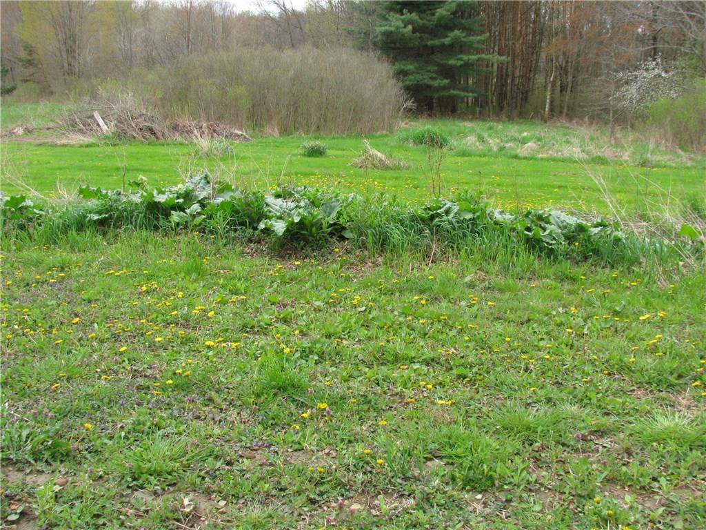 783 Mercer Road Greenville, PA 16125 - Photo 7 of 25 Rhubarb patch