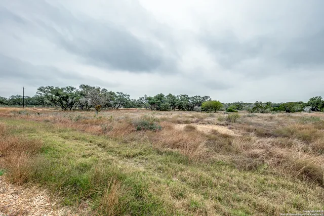 a view of a field with trees in background