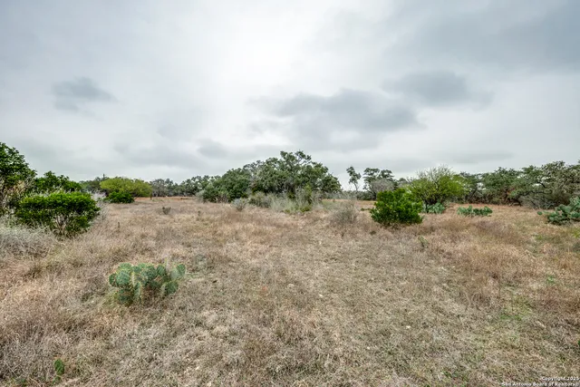a view of a open area with green space