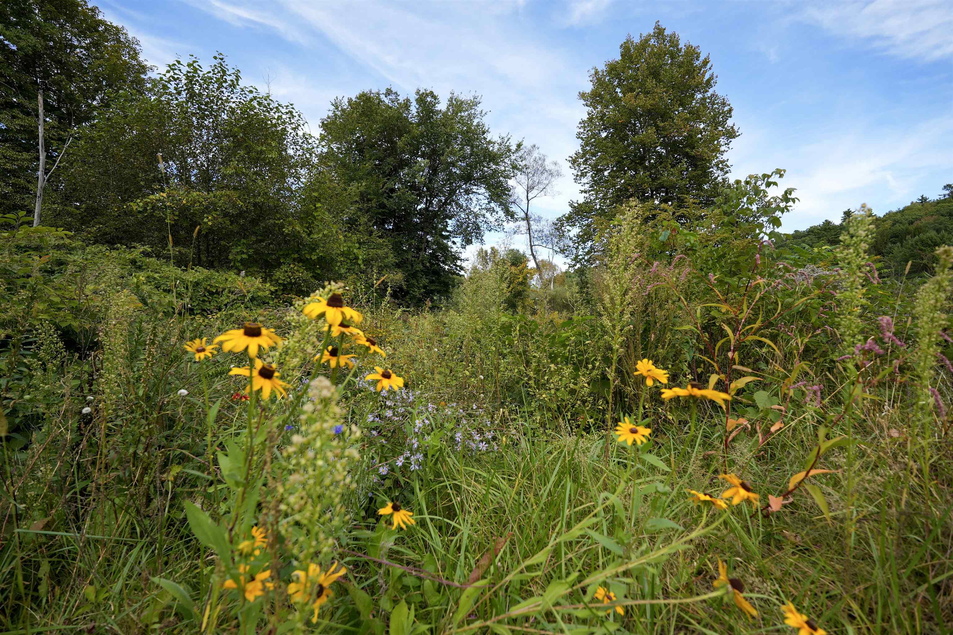 1268 County Road Windsor, VT 05089 - Photo 53 of 60 Gallery Image 53