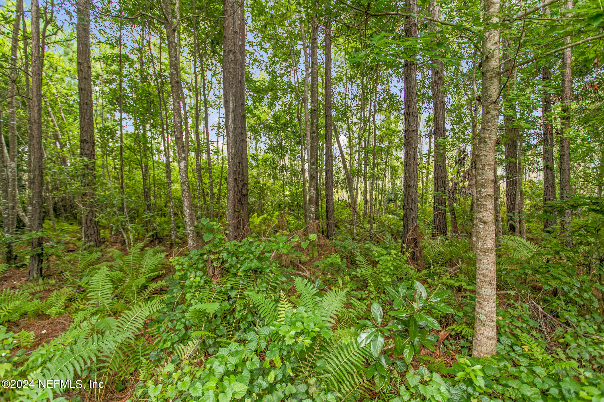 96551 Commodore Point Drive Yulee, FL 32097 - Photo 29 of 30 96551 Commodore Pl (40)