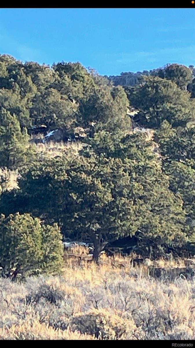 Lot 73 Old Stage Coach Road San Luis, CO 81152 - Photo 11 of 14