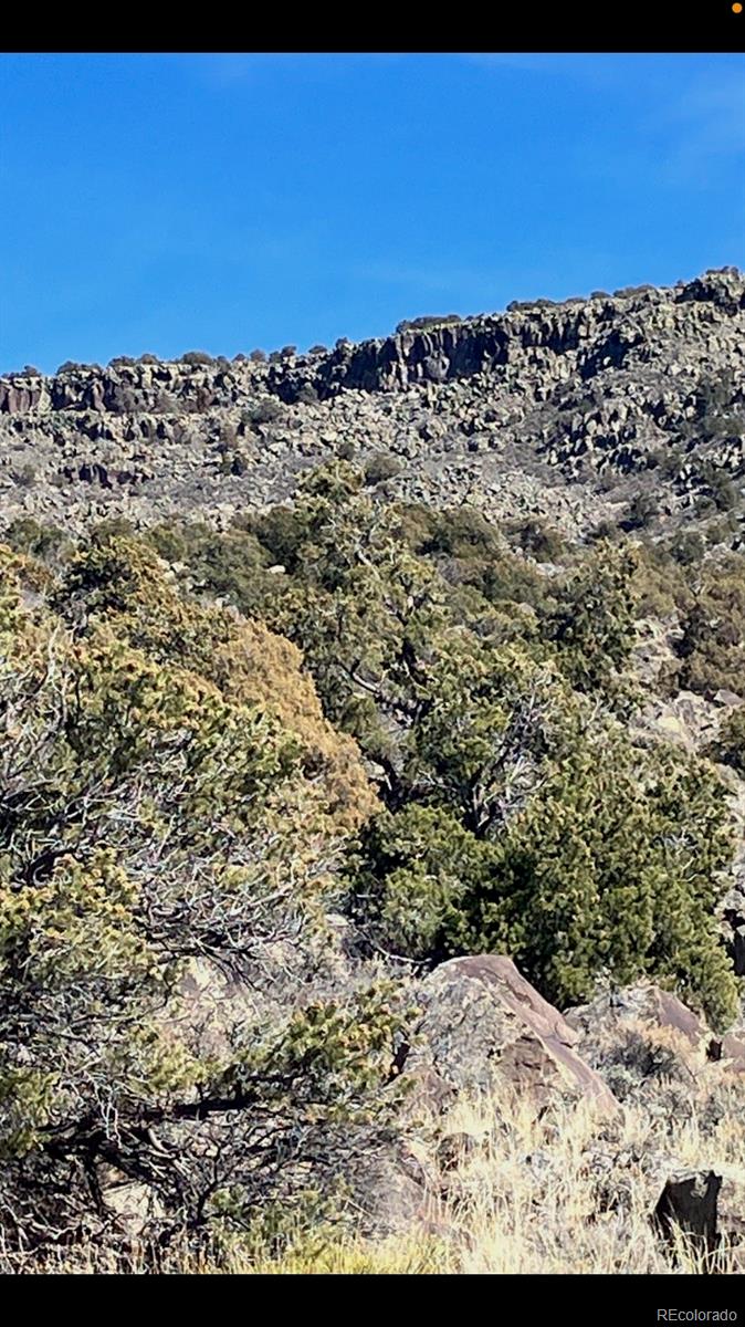 Lot 73 Old Stage Coach Road San Luis, CO 81152 - Photo 8 of 14