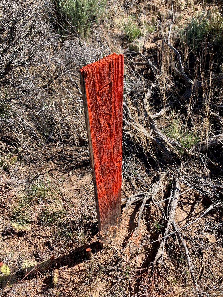 Lot 73 Old Stage Coach Road San Luis, CO 81152 - Photo 9 of 14