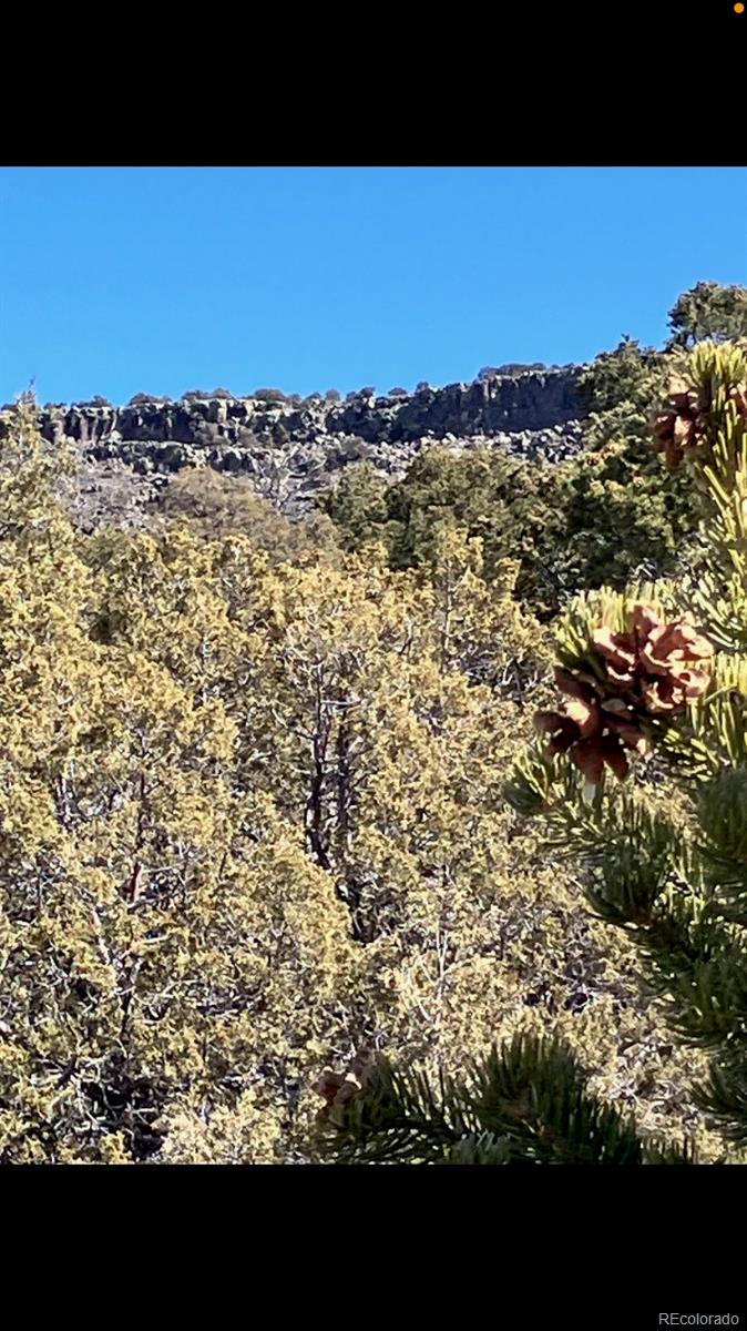 Lot 73 Old Stage Coach Road San Luis, CO 81152 - Photo 10 of 14