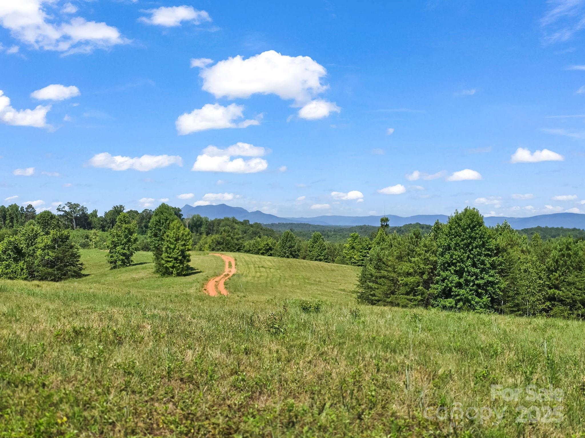 0 Ring Farm Drive Rutherfordton, NC 28139 - Photo 23 of 48 Gallery Image 23