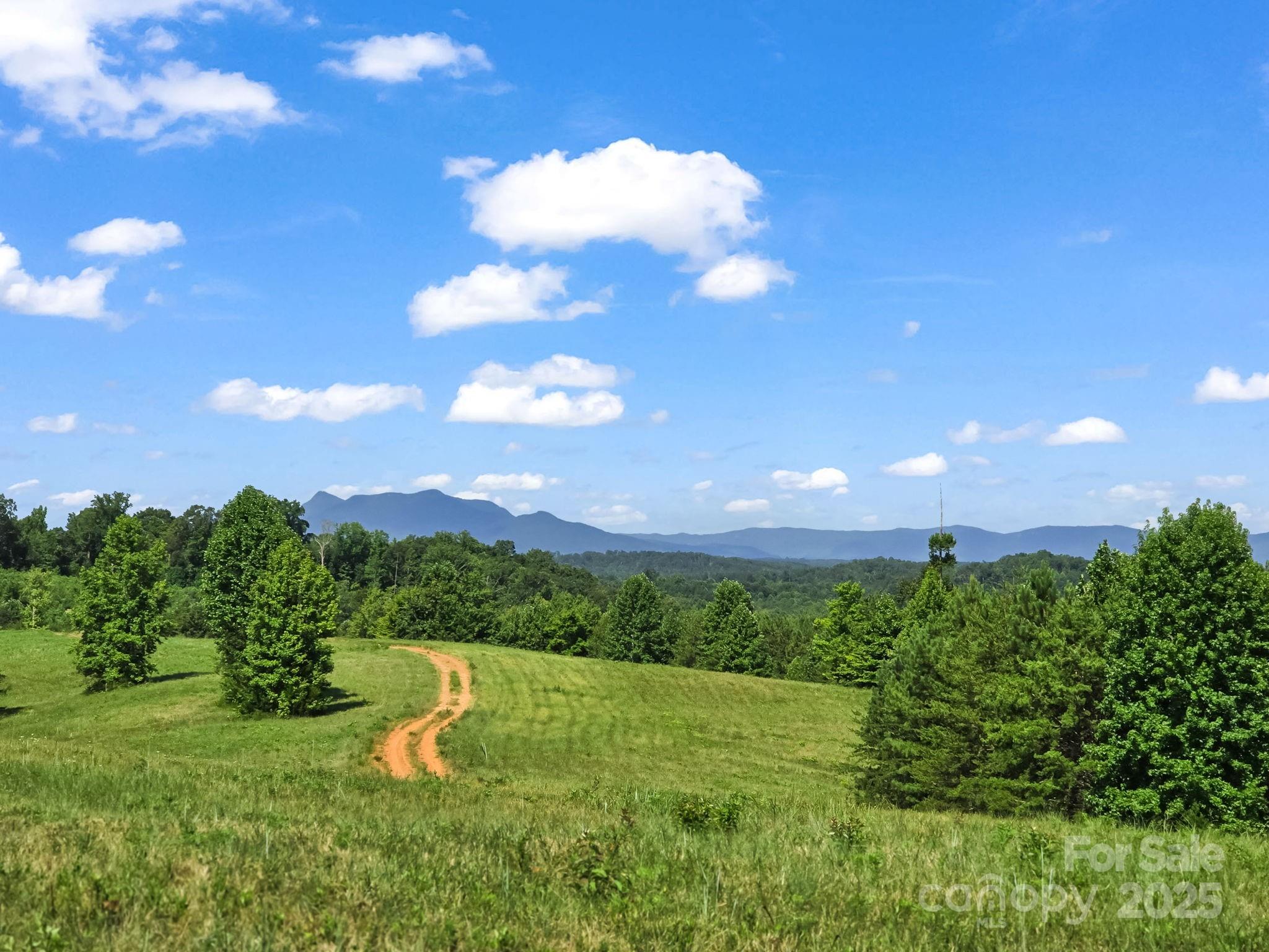 0 Ring Farm Drive Rutherfordton, NC 28139 - Photo 3 of 48 Gallery Image 3