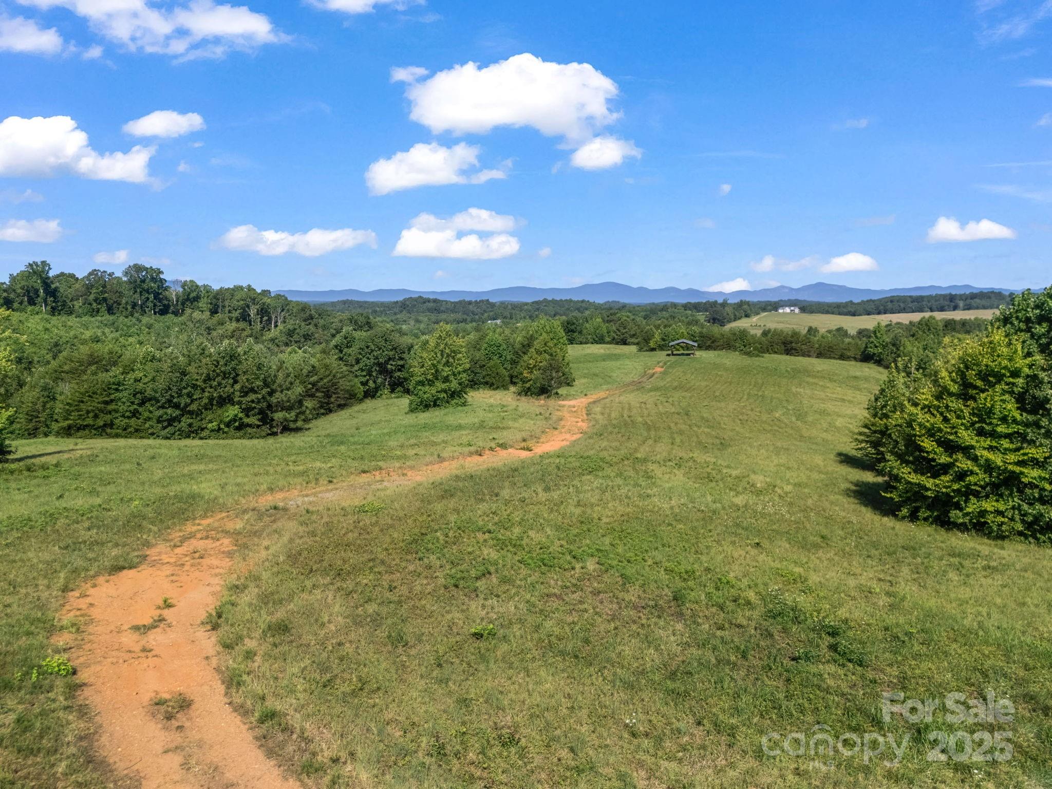0 Ring Farm Drive Rutherfordton, NC 28139 - Photo 8 of 48 Gallery Image 8