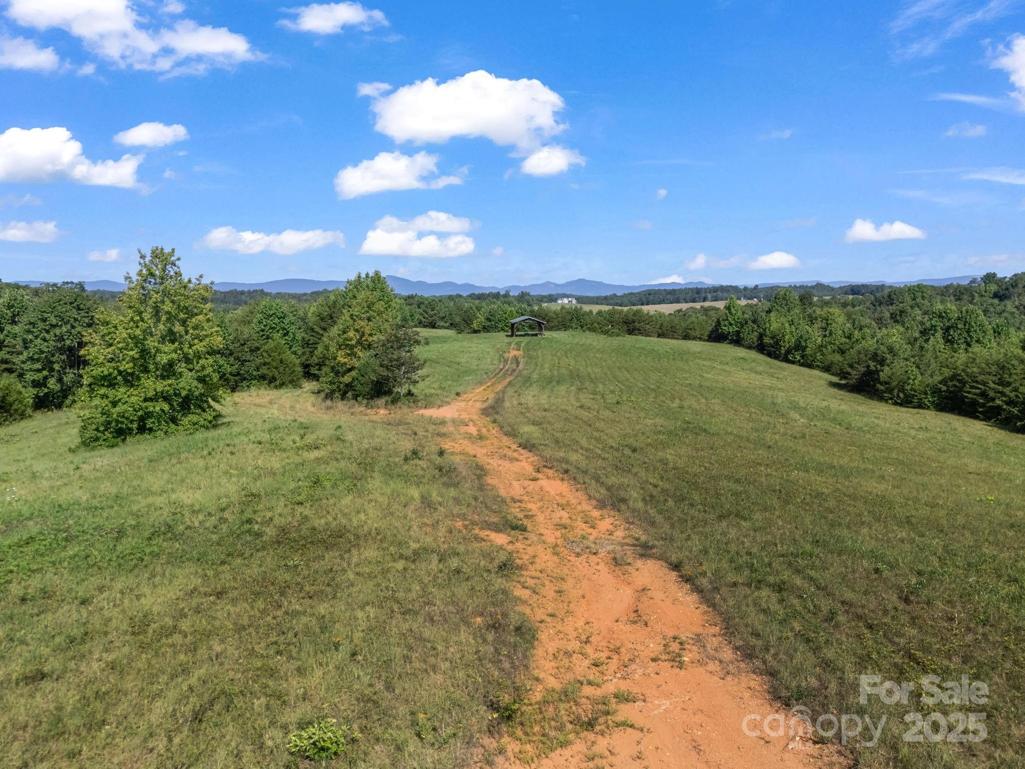 0 Ring Farm Drive Rutherfordton, NC 28139 - Photo 9 of 48 Gallery Image 9