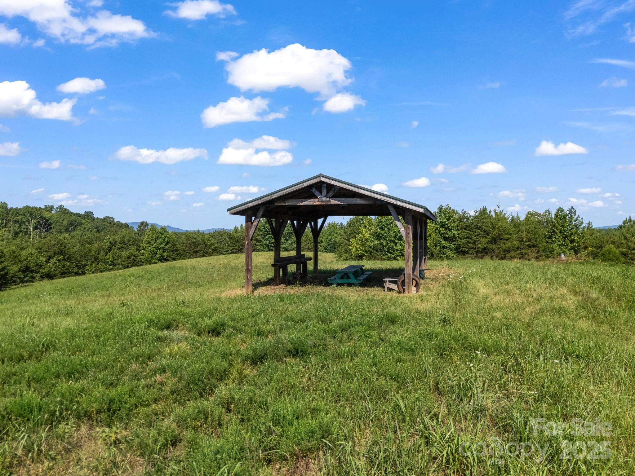 0 Ring Farm Drive Rutherfordton, NC 28139 - Photo 10 of 48 Gallery Image 10
