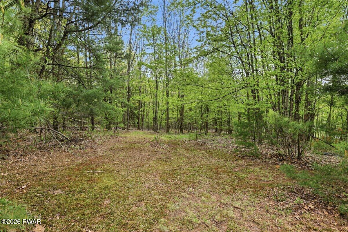 103 Forever Green Road Lakeville, PA 18438 - Photo 48 of 179