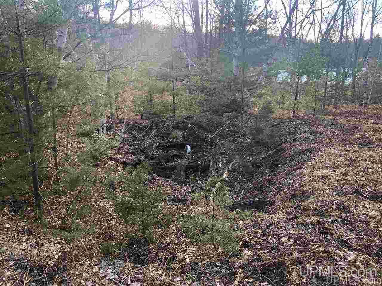 40 West Smith Lake Road Manistique, MI 49854 - Photo 8 of 24