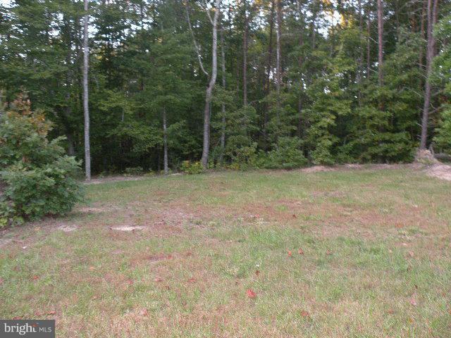 3285 Stingray Road Goldvein, VA 22720 - Photo 25 of 27 Exterior (General)