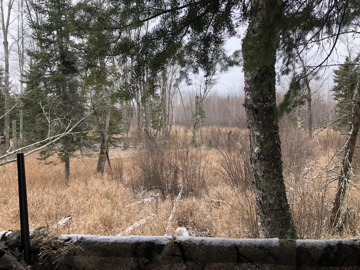 Tbd Benson Road Alborn, MN 55702 - Photo 7 of 7